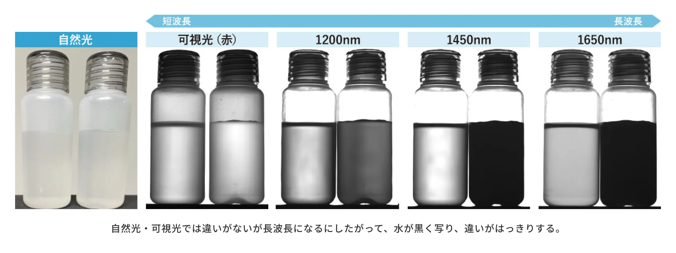 赤外光での比較　左：油 / 右：水